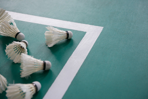 used shuttlecocks inside the edge of a badminton courts - Photo, Image
