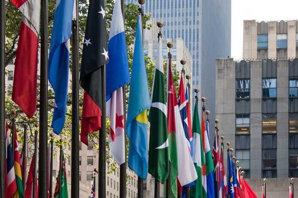 Ряд международных флагов
 - Фото, изображение