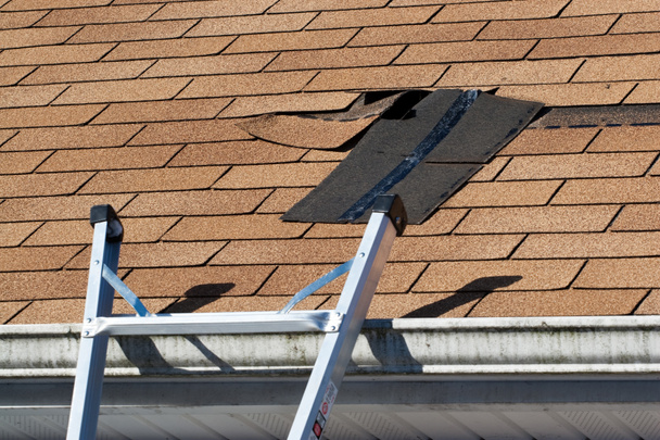 Reparação de telhas danificadas telhado
 - Foto, Imagem