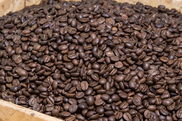 Kaffeebohnensamen - Foto, Bild