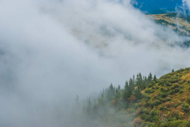 View of misty autumn mountains - Фото, изображение