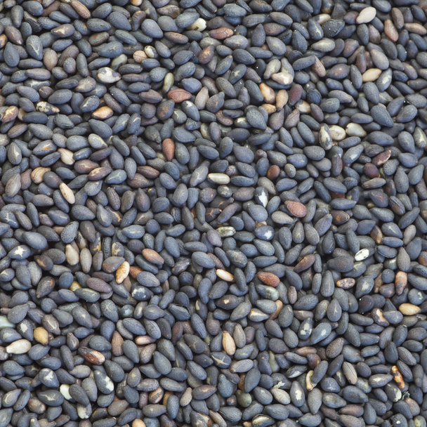 Semillas de sésamo seco
 - Foto, imagen