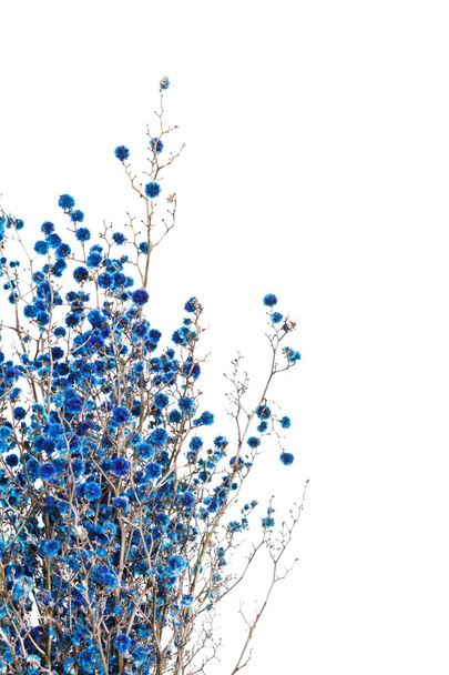 Blue flowers - Fotó, kép