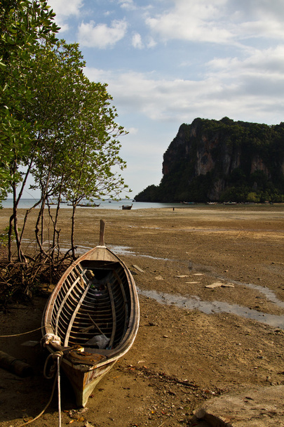 Довгий хвіст човни на пляж Рейлей - Фото, зображення