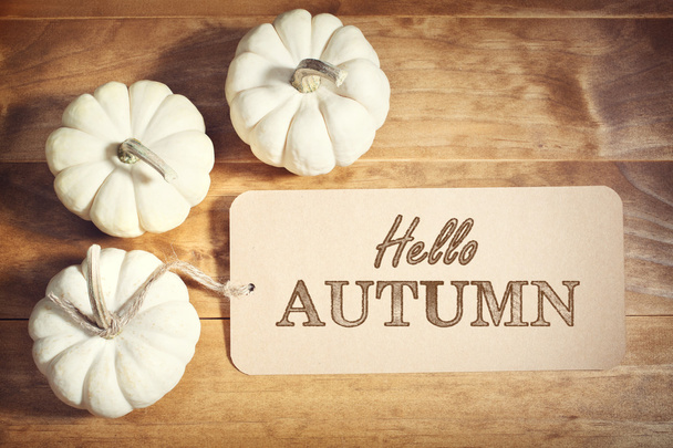 Hello Autumn message with small white pumpkins - Zdjęcie, obraz