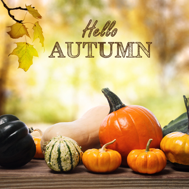 Hello Autumn message with assorted pumpkins - Фото, изображение