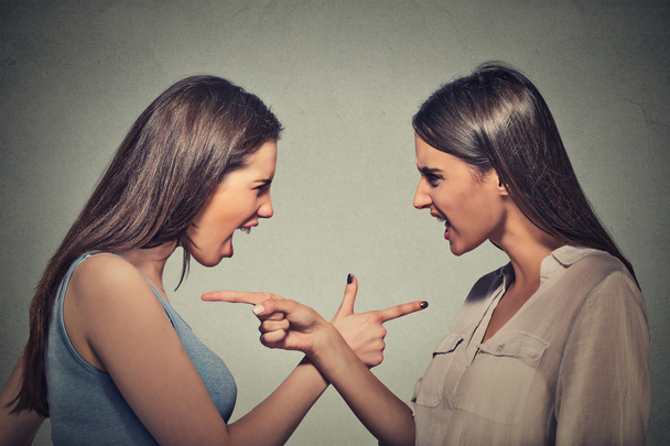 Side profile portrait two angry upset women blaming each other - Φωτογραφία, εικόνα