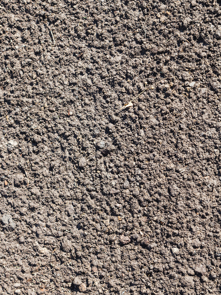 surface du sol ramolli avec des graines d'herbe
 - Photo, image