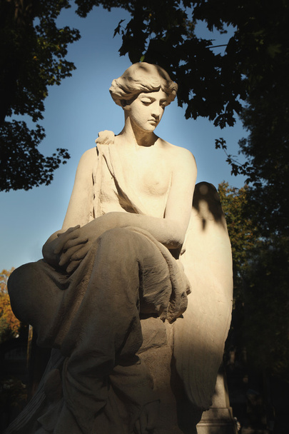 bogini miłości Afrodyta (Wenus) - Zdjęcie, obraz