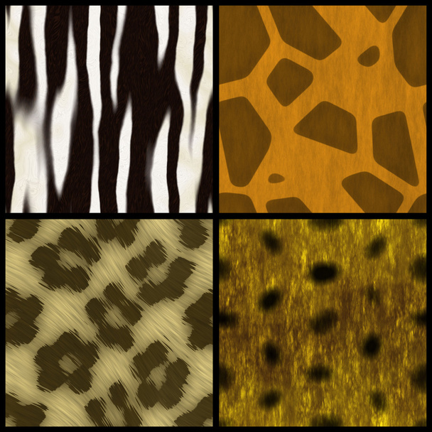 Animal Print Collection - Foto, afbeelding
