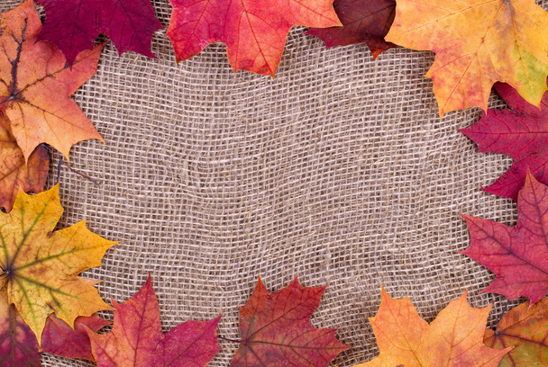 Background from autumn leaves of a maple on burlap - Fotó, kép
