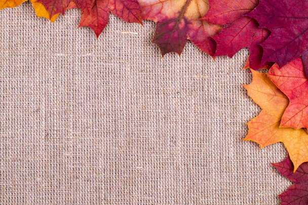 Background from autumn leaves of a maple on burlap - Fotó, kép