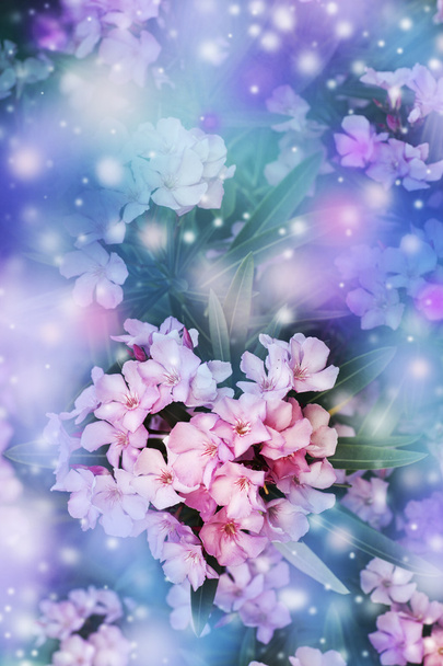 Красиві квіти з листям
 - Фото, зображення