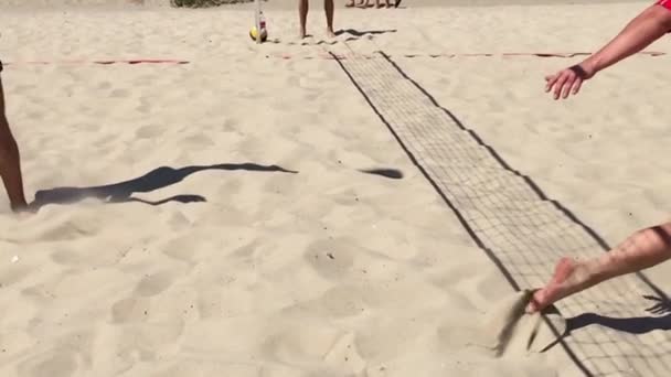 Professionele volleybal speler sloeg de bal in het net. - Video