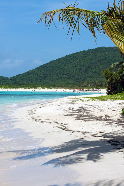 Фламенко пляж Culebra
 - Фото, зображення