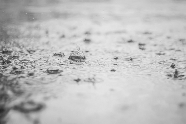 Des éclaboussures de pluie sur la flaque
 - Photo, image