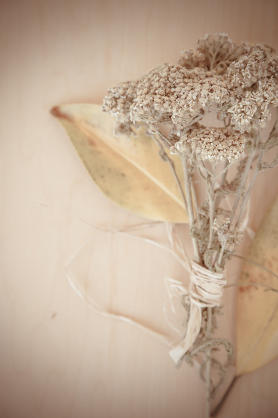Сушені квіти лікувальна нирка
 - Фото, зображення