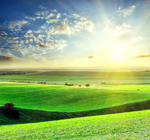 Хвилясте поле з зеленою травою
 - Фото, зображення