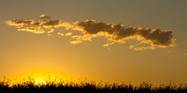 Gouden zonsondergang - Foto, afbeelding