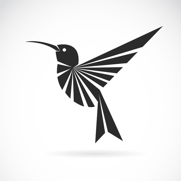 Векторное изображение колибри на белом фоне - Вектор,изображение