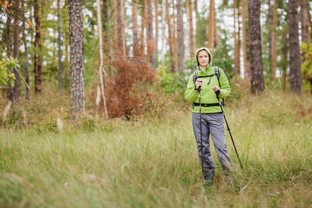woman with hiking equipment walking in forest - Photo, image