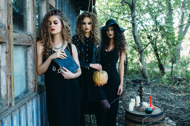 Cadılar olarak üç vintage kadın - Fotoğraf, Görsel