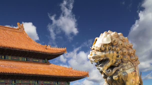 bronz kínai sárkány szobor a tiltott város. Beijing, Kína - Felvétel, videó