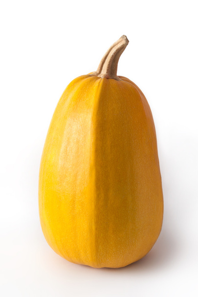 Yellow pumpkin on white background - Photo, Image