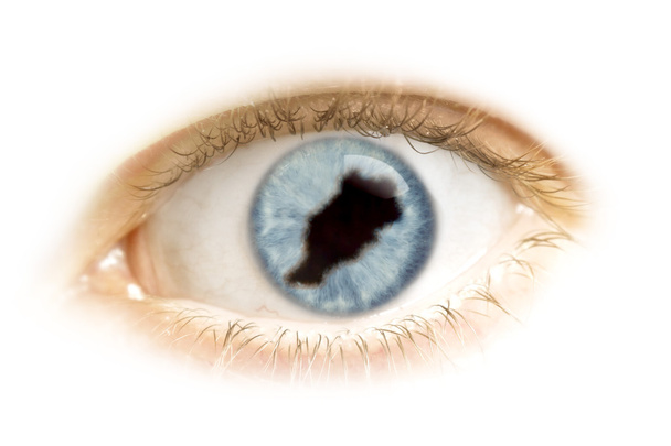 Primo piano di un occhio con la pupilla nella forma del Marocco. (serie
 - Foto, immagini