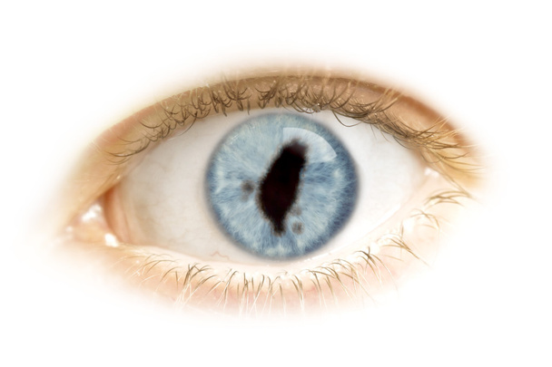Close-up of an eye with the pupil in the shape of Taiwan.(series - Φωτογραφία, εικόνα