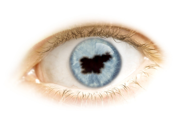 Primo piano di un occhio con la pupilla nella forma della Slovenia. (seri
 - Foto, immagini