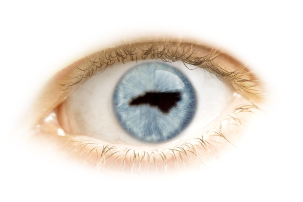 Close-up of an eye with the pupil in the shape of North Carolina - Photo, Image