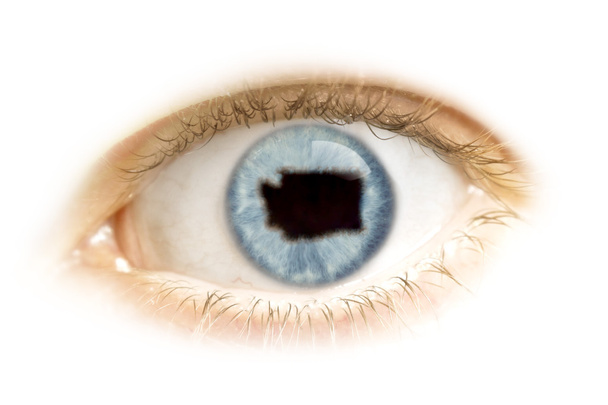 Close-up of an eye with the pupil in the shape of Washington.(se - Valokuva, kuva