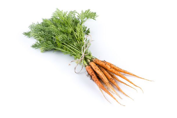 freshly picked carrots - 写真・画像