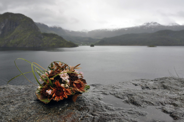 Норвезької природи
 - Фото, зображення