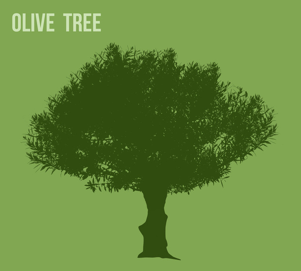 Olivenbaum-Silhouette - Foto, Bild