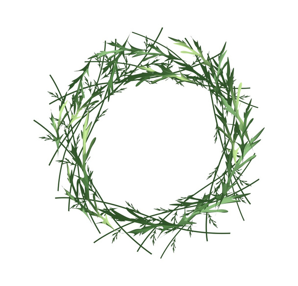 Beautiful Green Leaves Wreath on White Background - ベクター画像