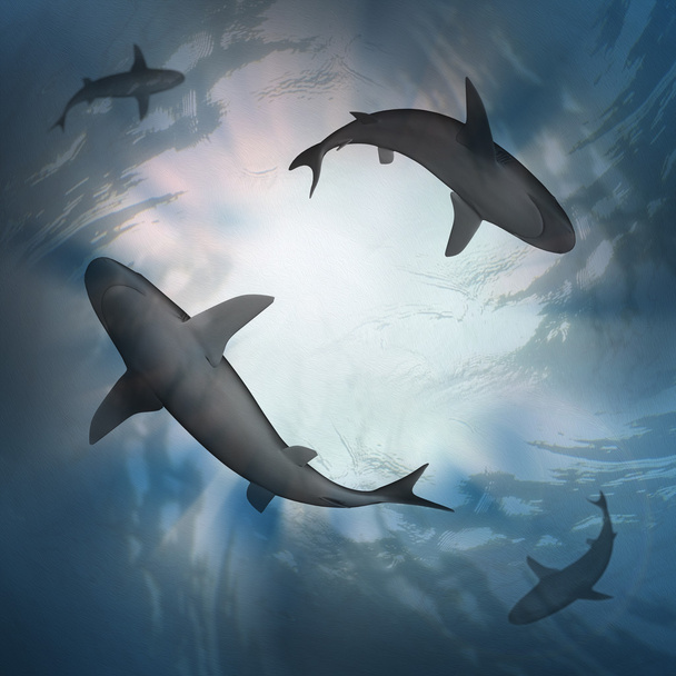 Bajo el agua azul con dos tiburones
 - Foto, imagen