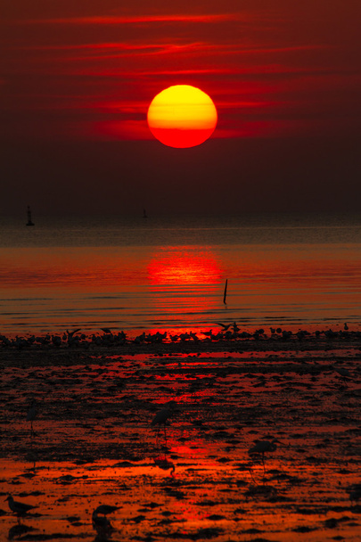 タイの海の夕暮れの赤い空 - 写真・画像