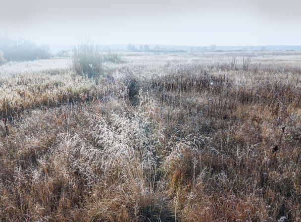 Krajina suché trávy pokryté mrazem - Fotografie, Obrázek