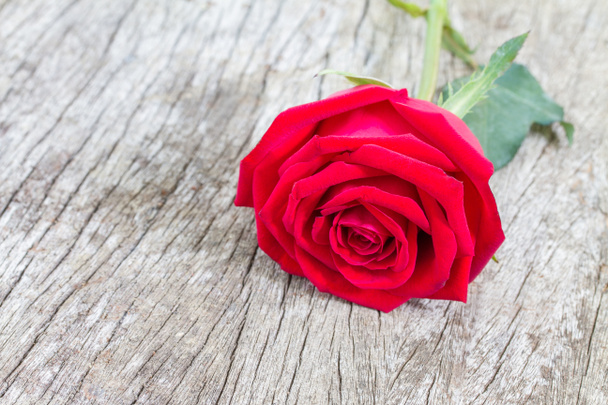 Rosa roja sobre fondo de madera
 - Foto, imagen