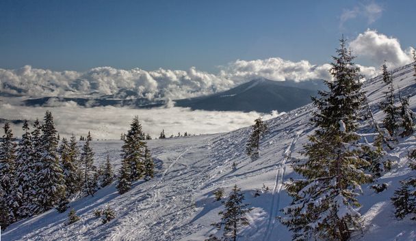 Dragobrat Ukrajna. Festői alpesi Ski resort - Fotó, kép