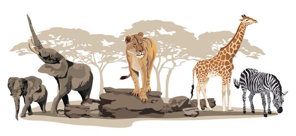 afrikai állatok - Vektor, kép