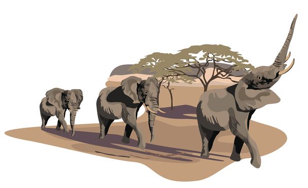 ελέφαντες στην σαβάνα - Διάνυσμα, εικόνα