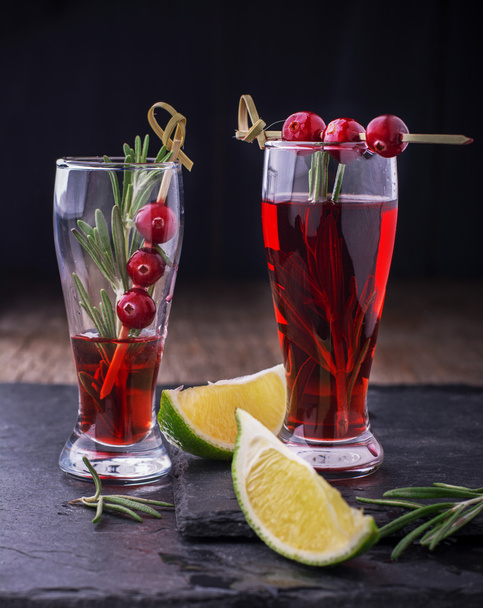 Cranberry, rosemary, gin fizz, cocktail on a white background - 写真・画像