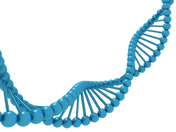 μπλε μοντέλο έλικας dna μόριο σε λευκό φόντο - Φωτογραφία, εικόνα