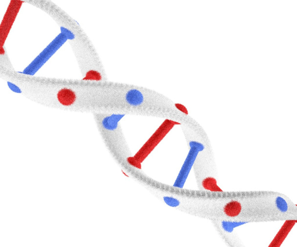 Estrutura incomum de DNA de lã
 - Foto, Imagem