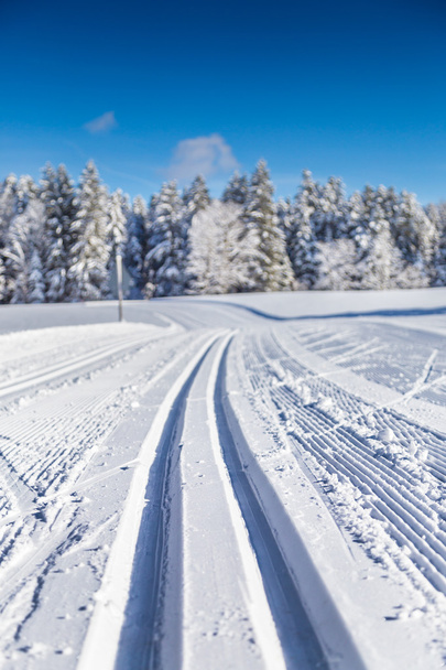 Cross-country skiing track in winter landscape - Photo, Image