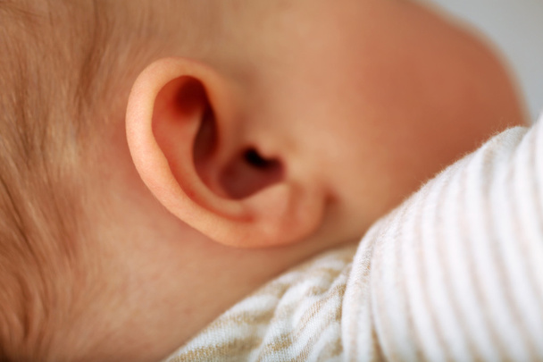 Baby ear, closeup - Фото, зображення