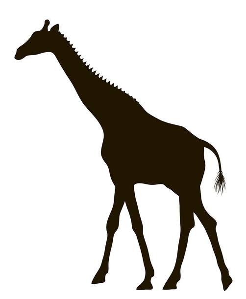 Sílhueta de desenho vetorial de uma girafa em movimento
 - Vetor, Imagem